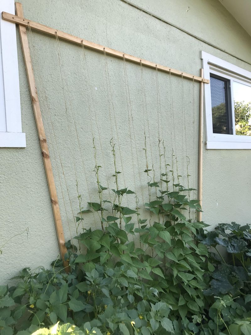 Vertical Supports Make Fences Work Harder