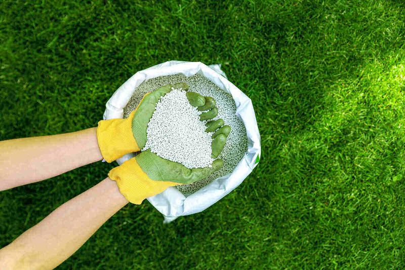 Very Little Fertilizer