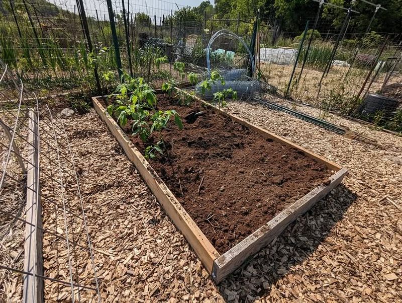 Waiting Too Long To Mulch