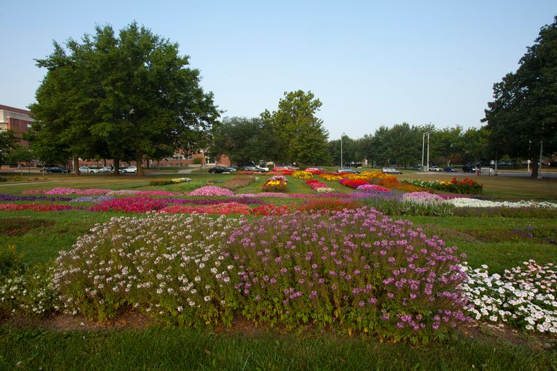 Walk Chadwick Arboretum At The Ohio State University