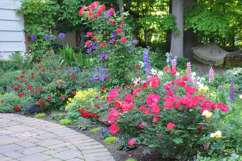 Walk The Beds Weekly Before Weeds Take Over Walk The Beds Weekly Before Weeds Take Over