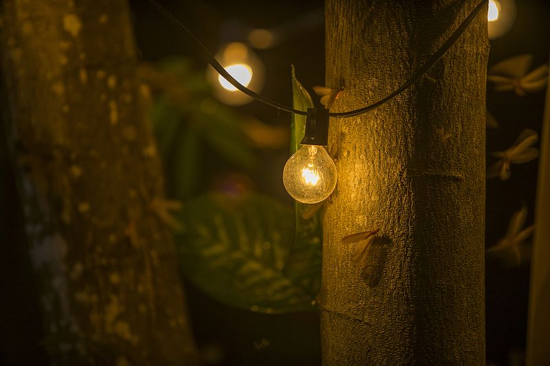 Warm Bulbs Are A Better Night Choice Warm Bulbs Are A Better Night Choice
