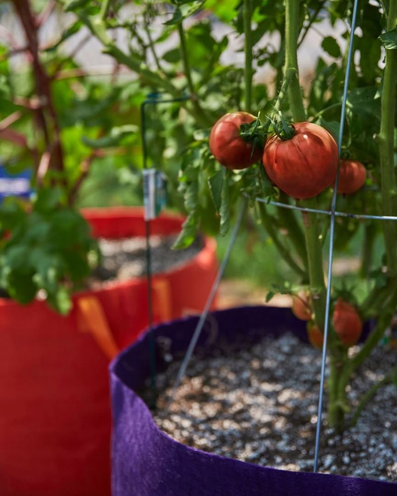 Warm Season Crops Should Be Chosen Carefully
