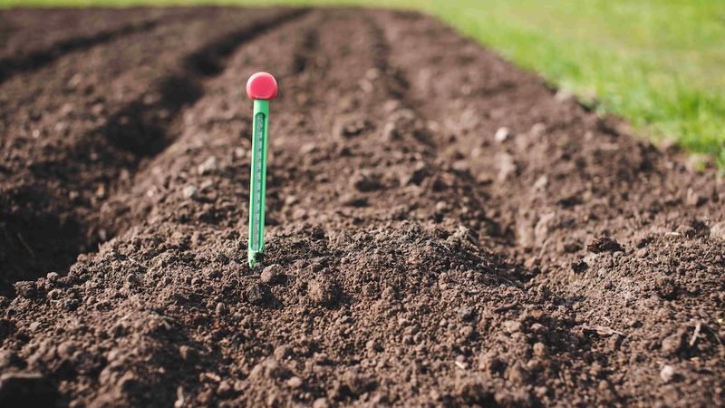 Warm Soil Helps Seeds Germinate Faster Warm Soil Helps Seeds Germinate Faster