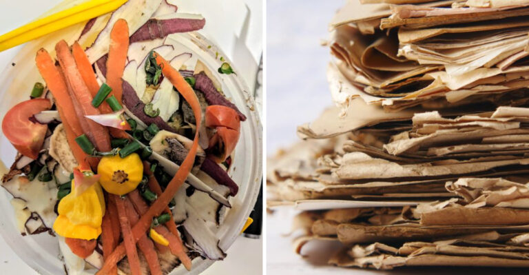 Washington Gardeners Add These 8 Things To Their Compost In June For A Richer Soil By Fall