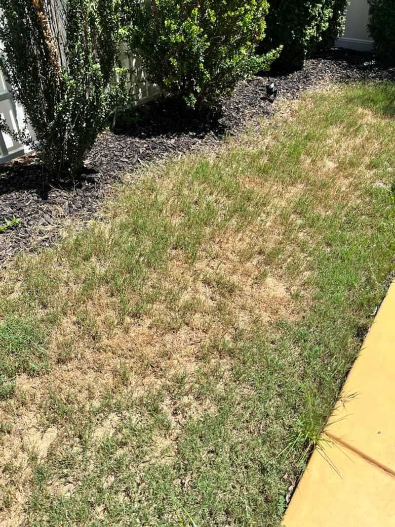 Watch For Early Signs Of Drought Stress Watch For Early Signs Of Drought Stress