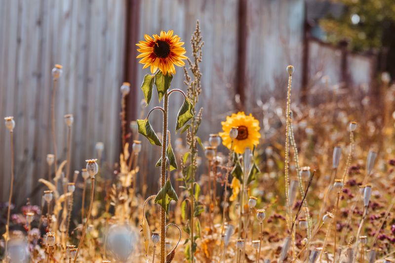 Watch For The Signs That Your Garden Is Turning A Corner Watch For The Signs That Your Garden Is Turning A Corner