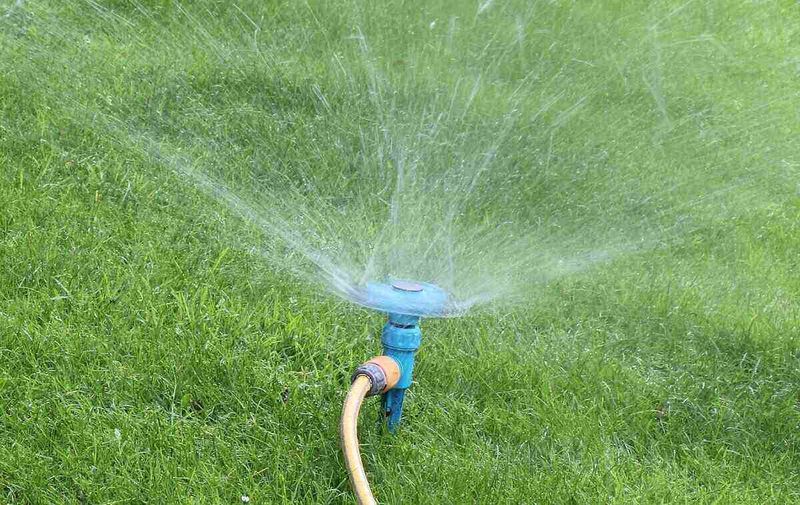 Watch Irrigation Gaps Before September Stress Shows Watch Irrigation Gaps Before September Stress Shows