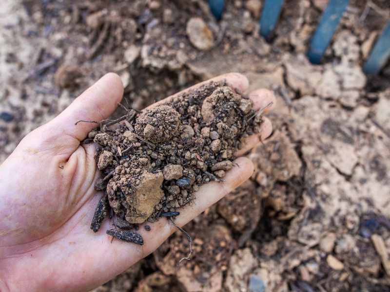 Water Cannot Fix Soil That Has No Structure