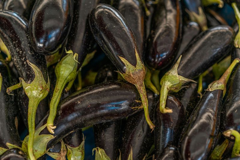 Water Deeply 2-3 Times Per Week And Mulch To Protect Eggplants Water Deeply 2-3 Times Per Week And Mulch To Protect Eggplants