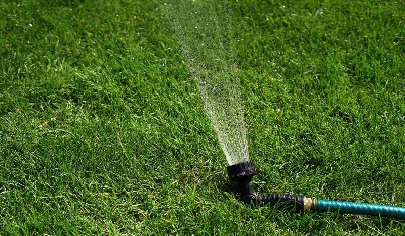 Water Deeply Instead Of Watering Every Day