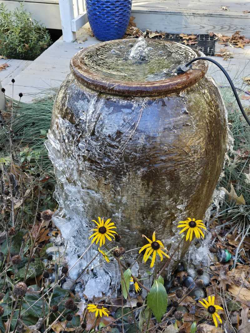 Water During Dry Texas Stretches To Help Extend Blooming