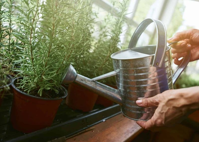 Water Less Often But More Thoroughly