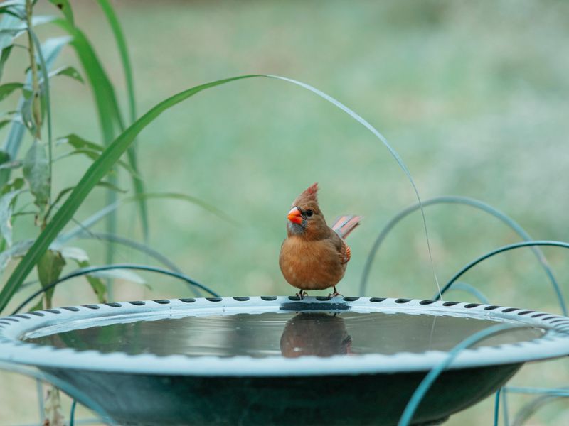 Water Makes Daily Visits Easier