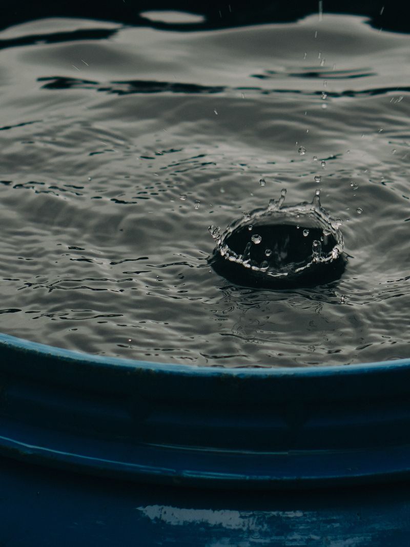 Water Savings That Actually Add Up Over A Dry Season Water Savings That Actually Add Up Over A Dry Season