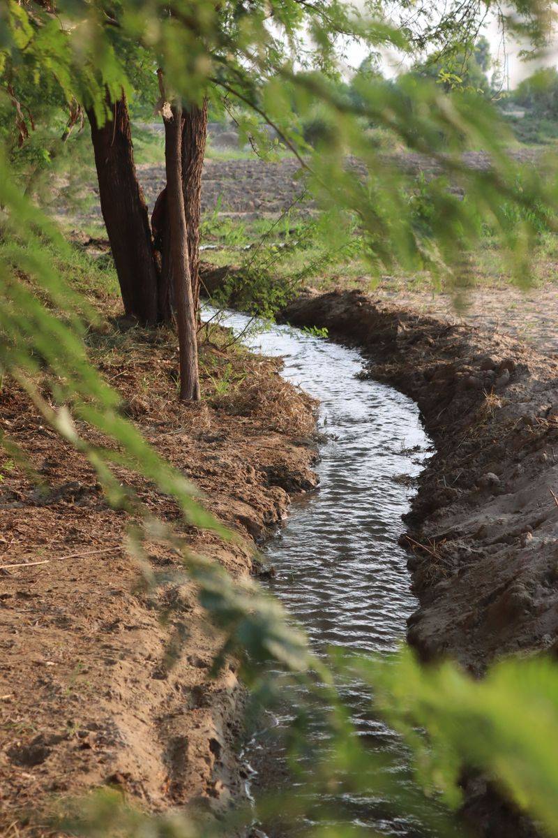 Water Sources Are Drawing It In Water Sources Are Drawing It In