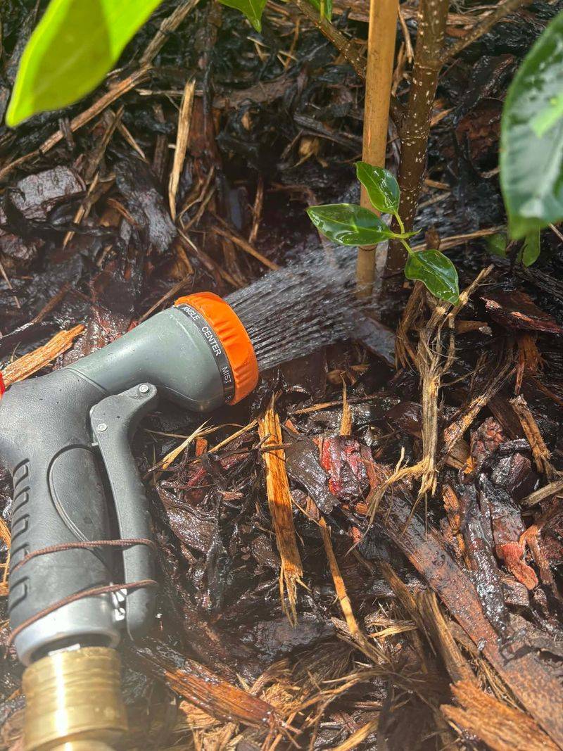 Water Sprays Can Help Water Sprays Can Help