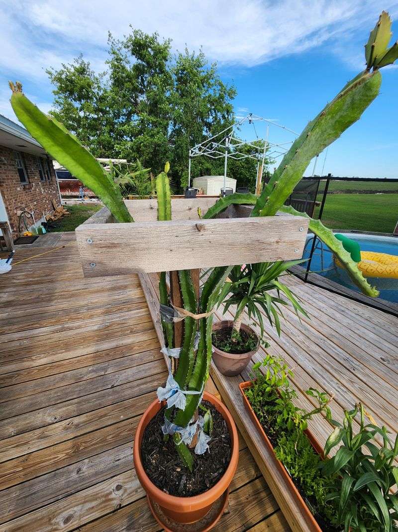 Water Wisely To Avoid Overwatering Problems Water Wisely To Avoid Overwatering Problems