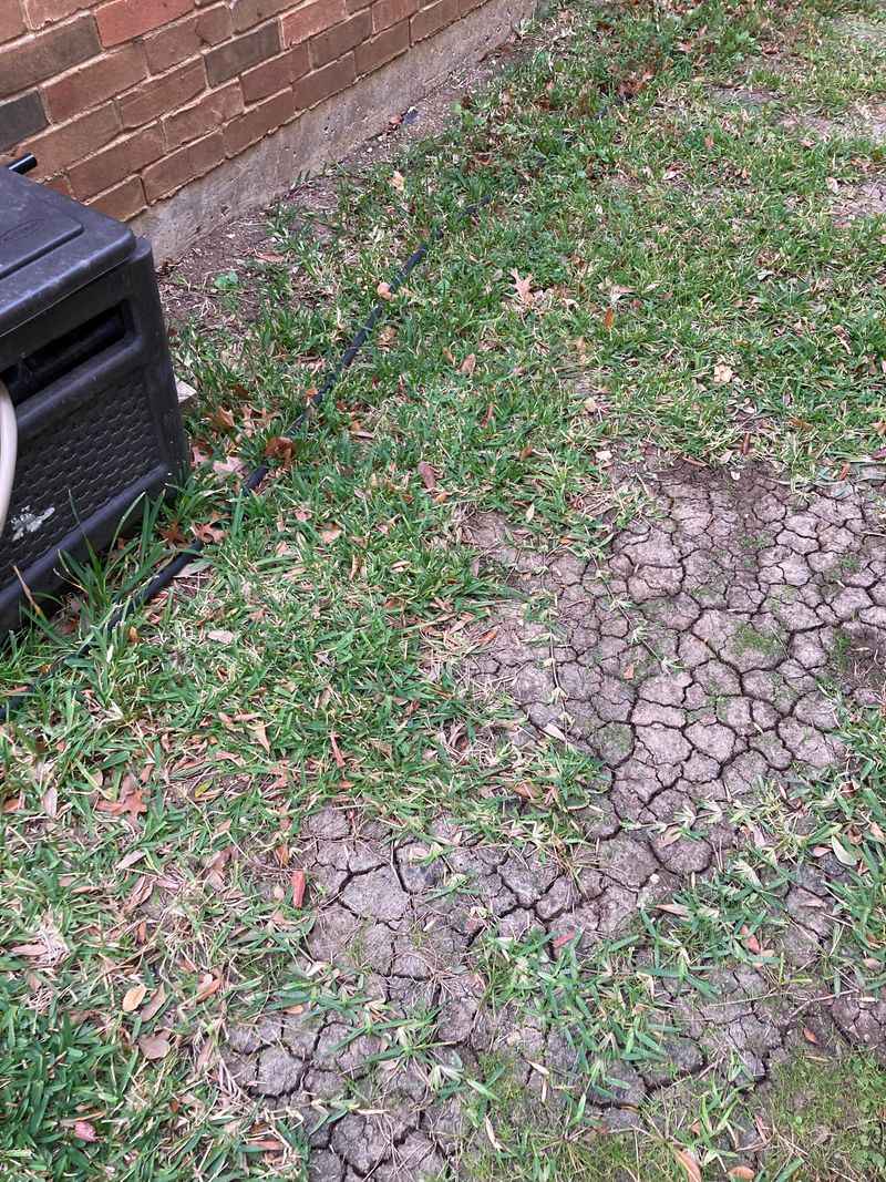 Watering Bare Soil Invites More Weeds