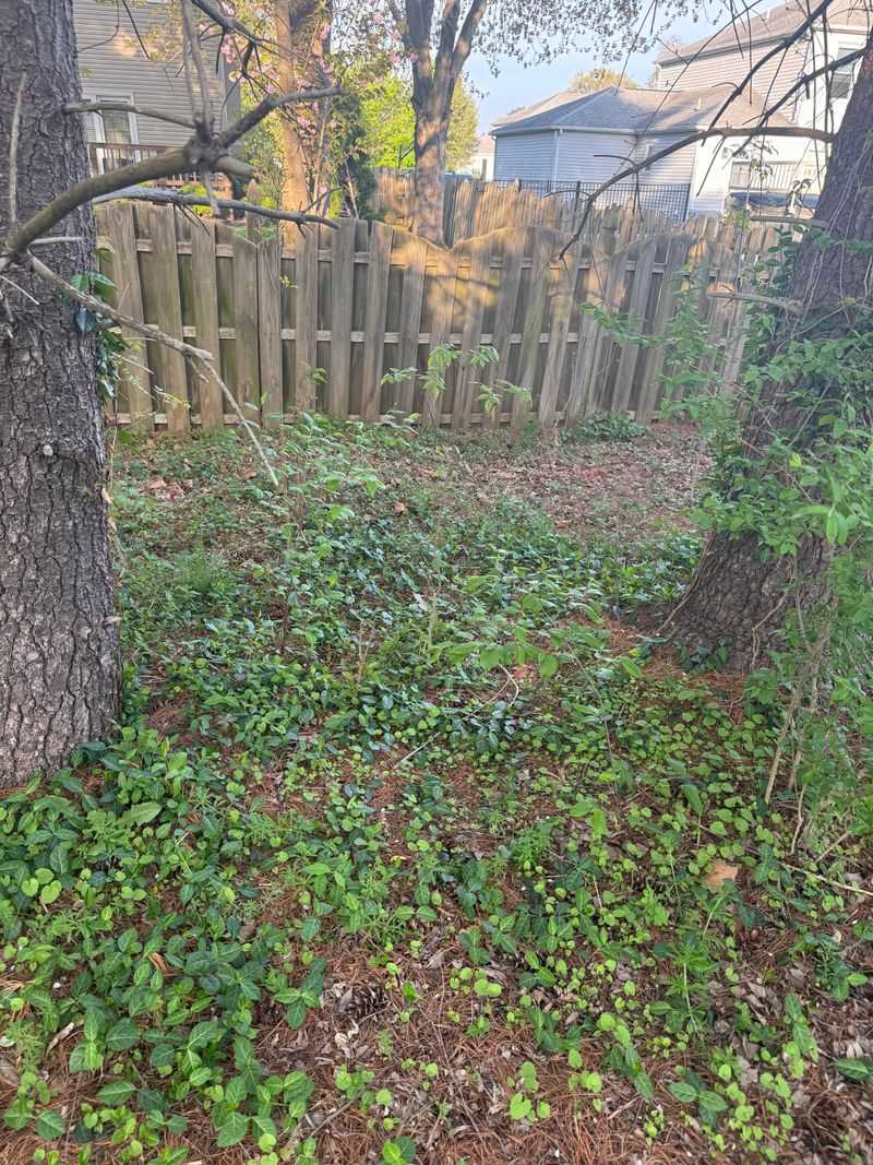 Watering Fence Lines That Already Stay Damp Watering Fence Lines That Already Stay Damp