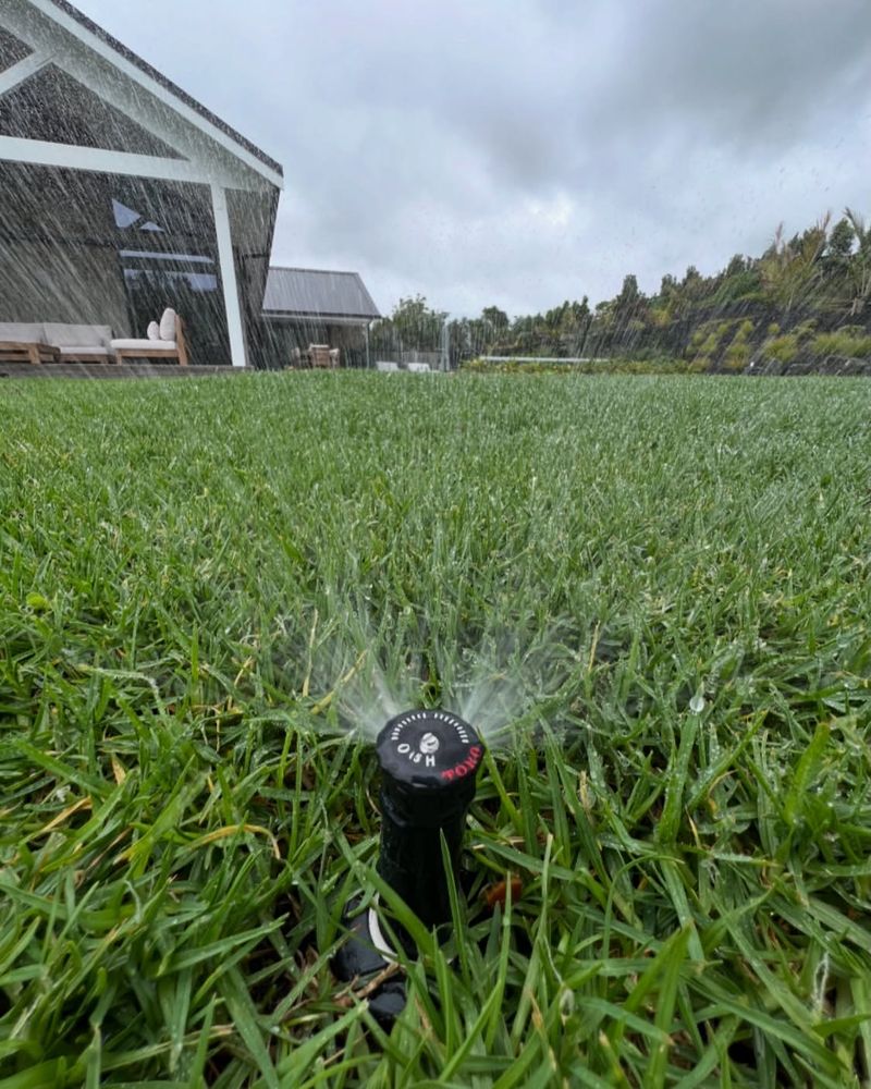 Watering The Lawn Late In The Evening
