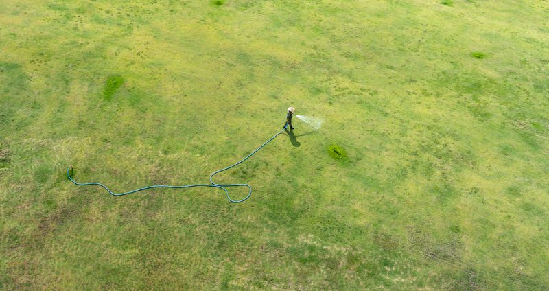 Watering Too Often And Too Shallow