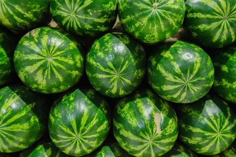 Watermelon Watermelon