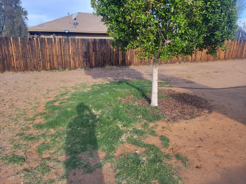 Weak Plantings Leave Soil Wide Open