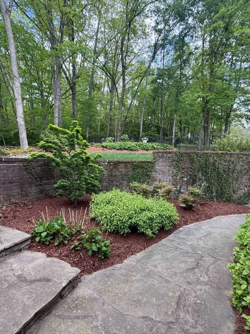 Weed Growth Becomes Easier To Control