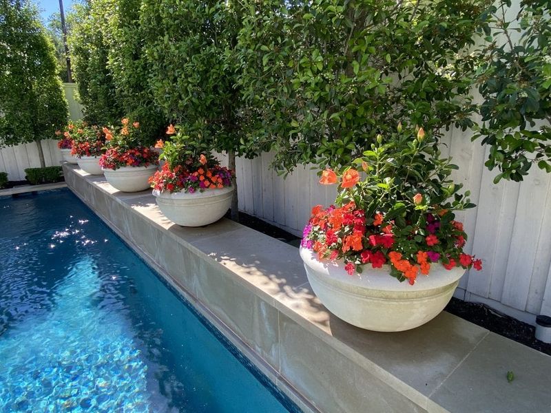 Well-Drained Soil Around The Pool Bed