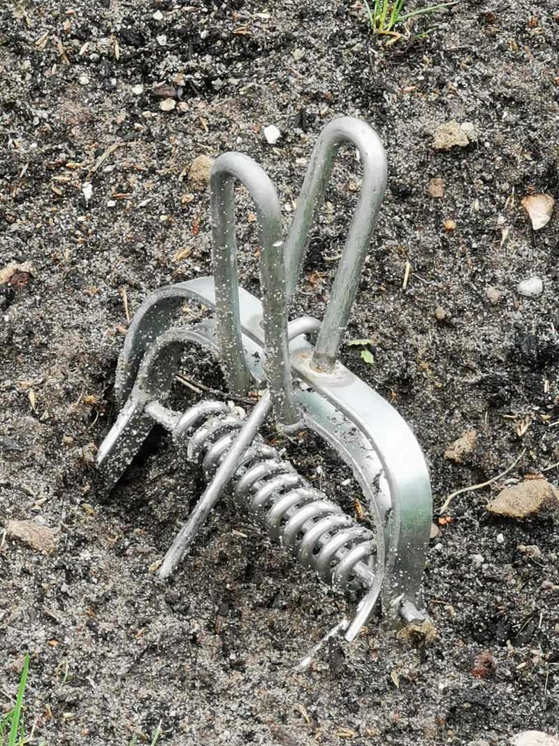 What Actually Stops Moles In New York Yards