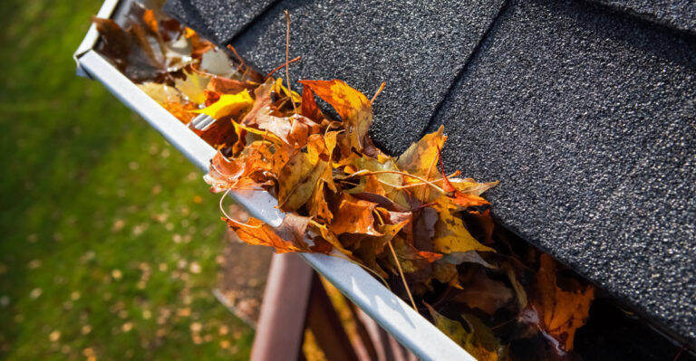 What California Gardeners Need To Clear From Eaves And Gutters Before Fire Season