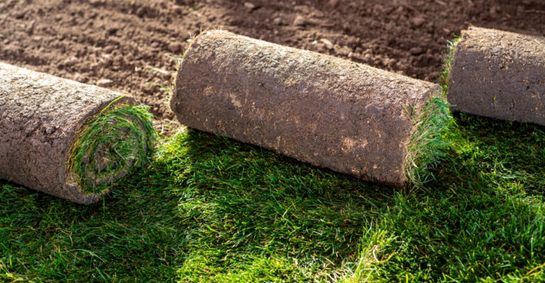 What California HOAs Can And Cannot Actually Ban In Your Garden