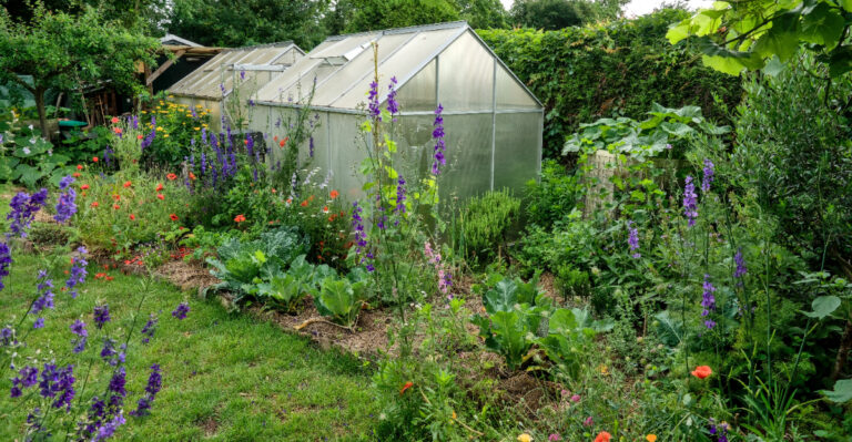 june garden