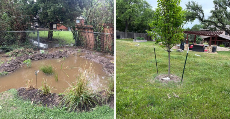 What Experienced Arizona Gardeners Do In June So Monsoon Rains Actually Help Their Plants
