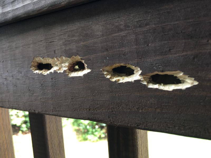 What Happens If You Leave The Holes Untreated What Happens If You Leave The Holes Untreated