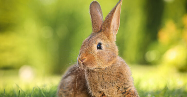 Image Credit: © New Africa / Shutterstock