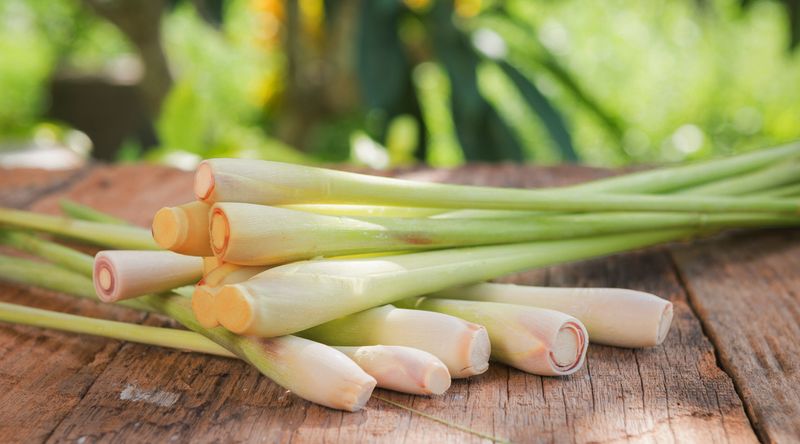 What Lemongrass Can And Cannot Do What Lemongrass Can And Cannot Do