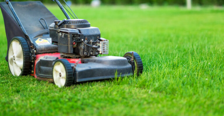 What Maryland Homeowners Should Know About Mowing Height Every Dry Summer