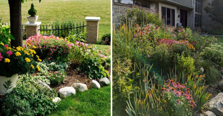 What Michigan Gardeners Get When They Let One Corner Of The Yard Go Wild