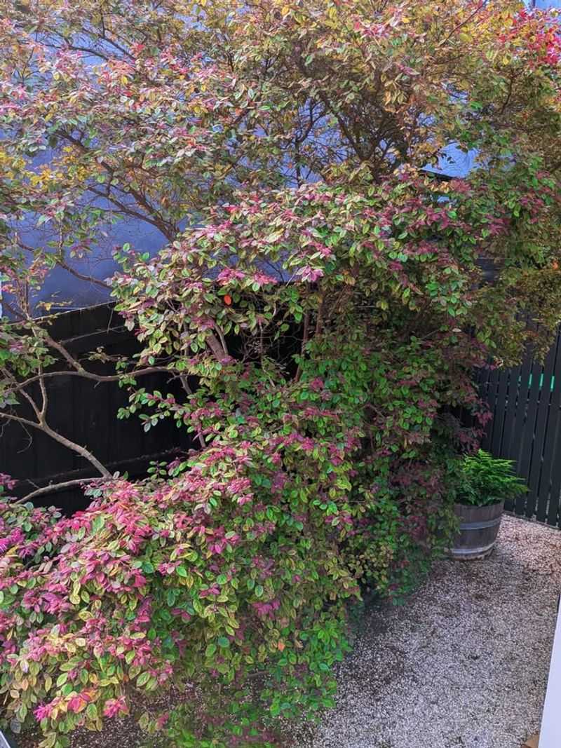 What To Do Right After Pruning To Support Recovery