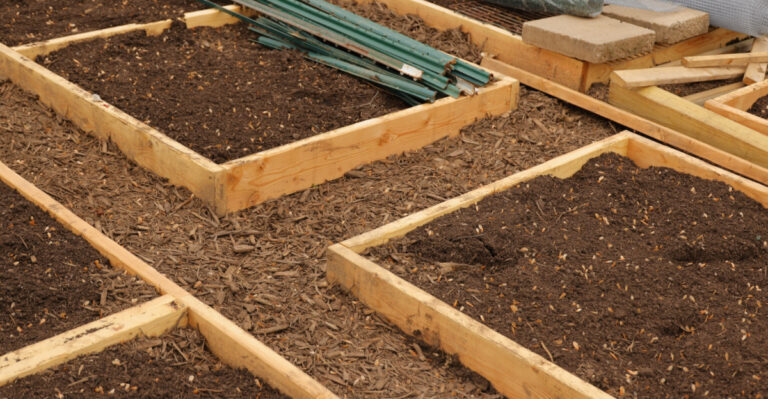 What To Fill Your Kansas Raised Beds With Before You Spend A Dime
