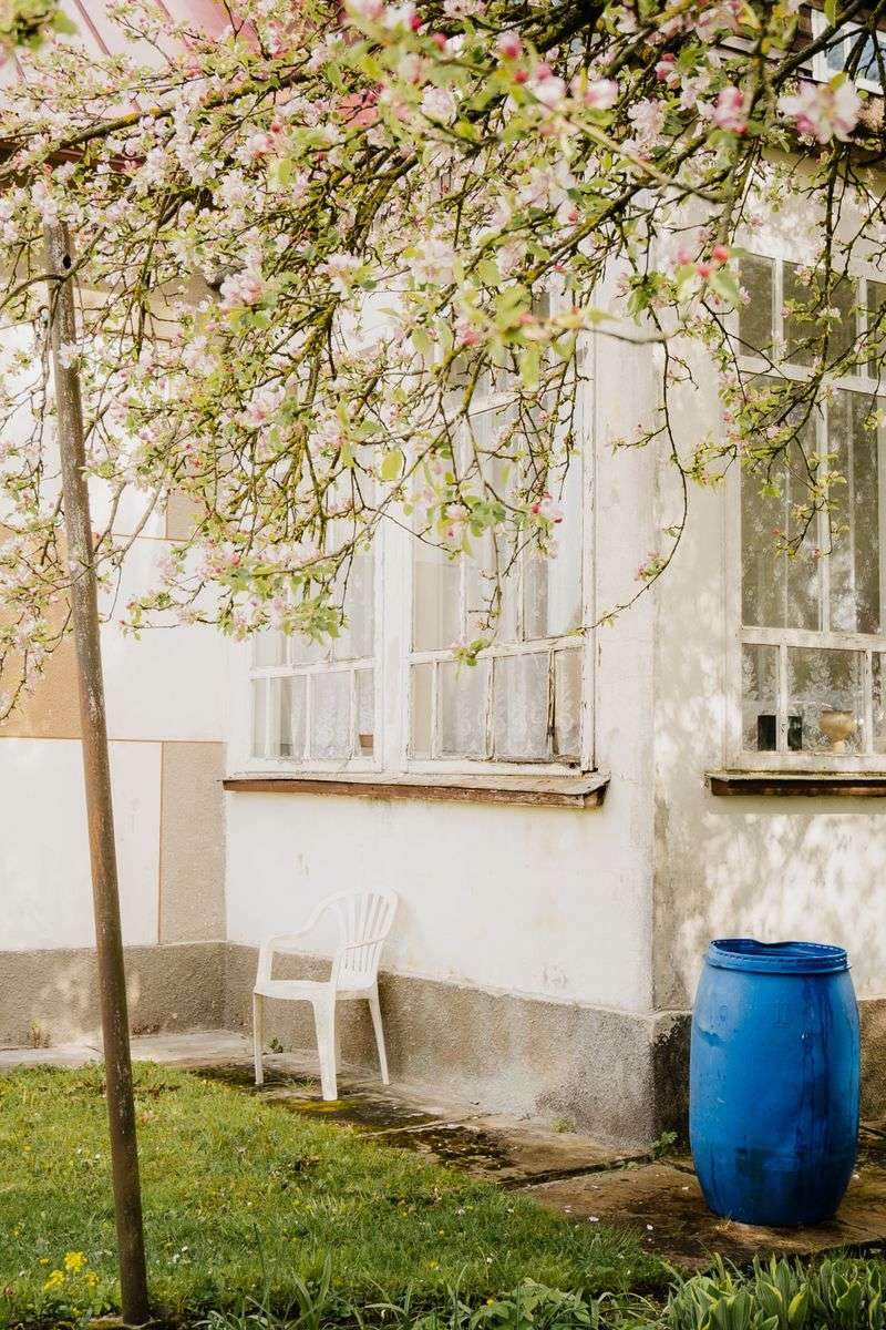 What To Look For When Choosing A Rain Barrel In Minnesota