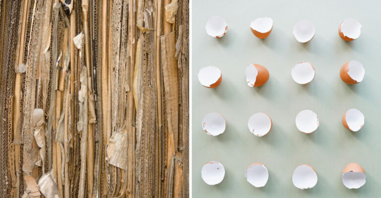What Wisconsin Gardeners Are Tossing In Their Compost This June For A Better Fall Garden