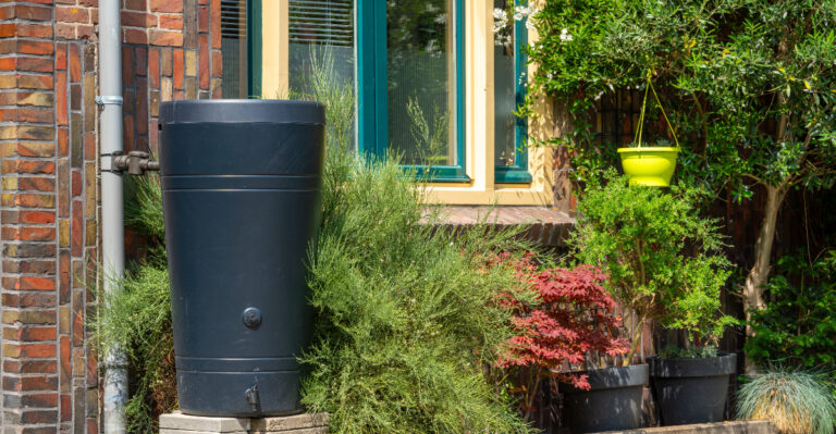 What’s Driving Minnesota Gardeners Toward Rain Barrels This Season