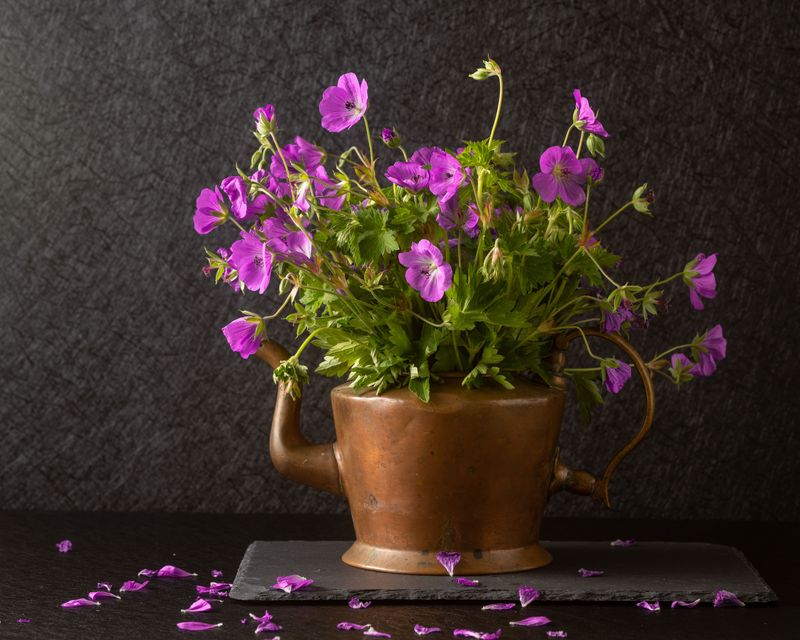 When And How Often To Trim Faded Flowers For Best Results