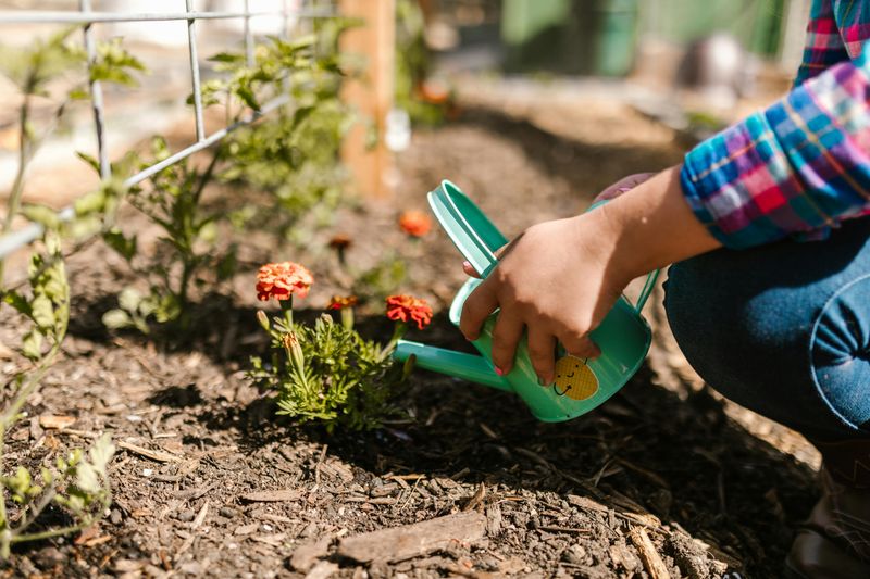 When To Adjust Watering During Heat Waves When To Adjust Watering During Heat Waves