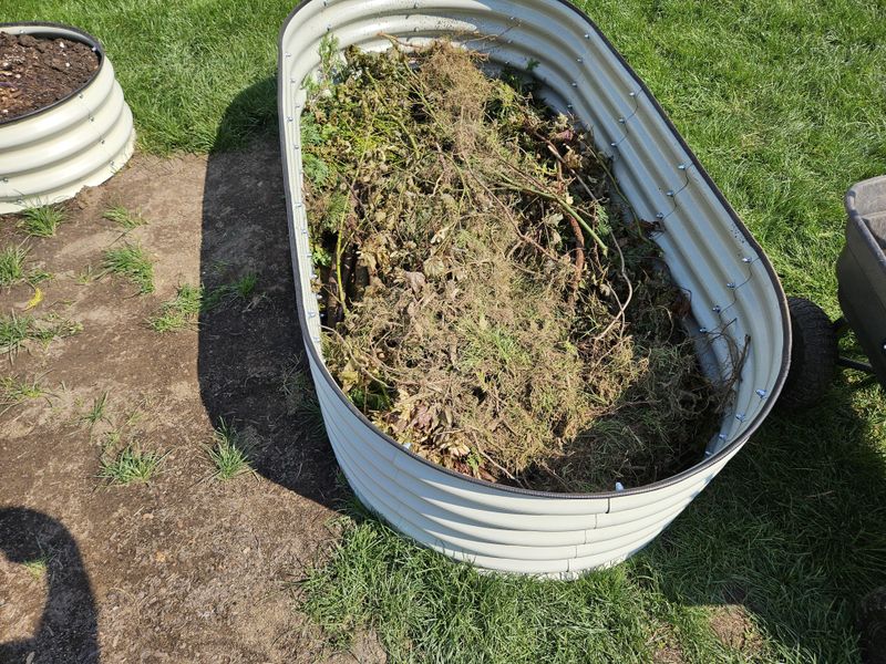 When To Fill Your Raised Bed For The Best Results When To Fill Your Raised Bed For The Best Results