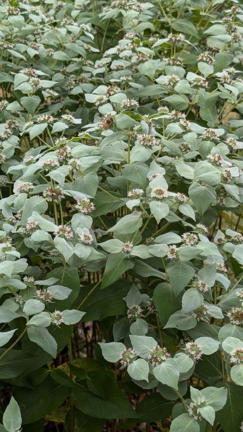 Where To Find It And How To Get Started This Season