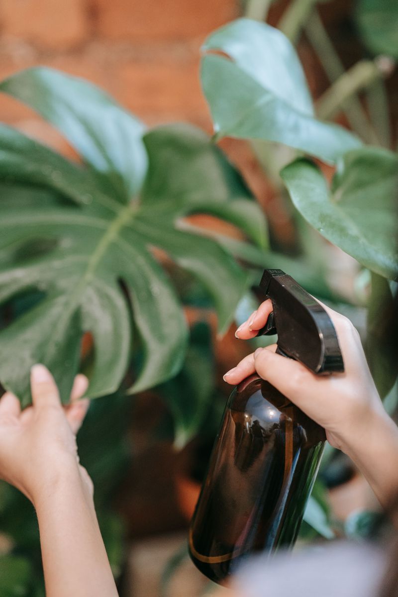 Where To Use Essential Oil Spray Outside